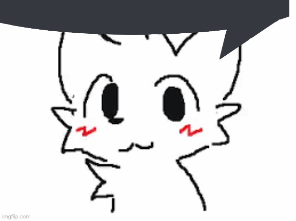 silly cat | image tagged in silly cat | made w/ Imgflip meme maker