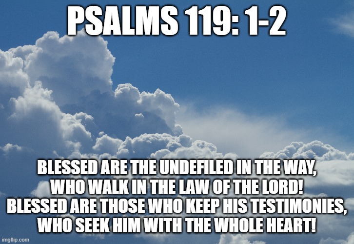 Bible Verse of the Day | PSALMS 119: 1-2; BLESSED ARE THE UNDEFILED IN THE WAY,
WHO WALK IN THE LAW OF THE LORD!
BLESSED ARE THOSE WHO KEEP HIS TESTIMONIES,
WHO SEEK HIM WITH THE WHOLE HEART! | image tagged in bible,christian,bible verse | made w/ Imgflip meme maker