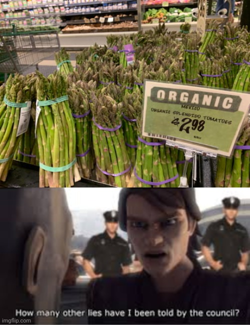If only they are tomatoes | image tagged in how many lies have i been told by the council,tomatoes,tomato,you had one job,memes,organic | made w/ Imgflip meme maker