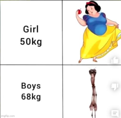 girls out on that weight extra hard lmaoo | image tagged in fat,skinny,boys vs girls,funny,memes,weight | made w/ Imgflip meme maker