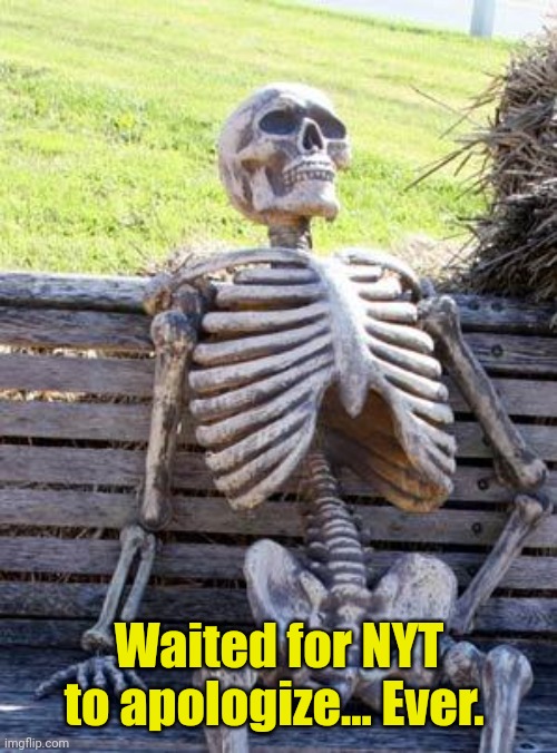 Waiting Skeleton Meme | Waited for NYT to apologize... Ever. | image tagged in memes,waiting skeleton | made w/ Imgflip meme maker