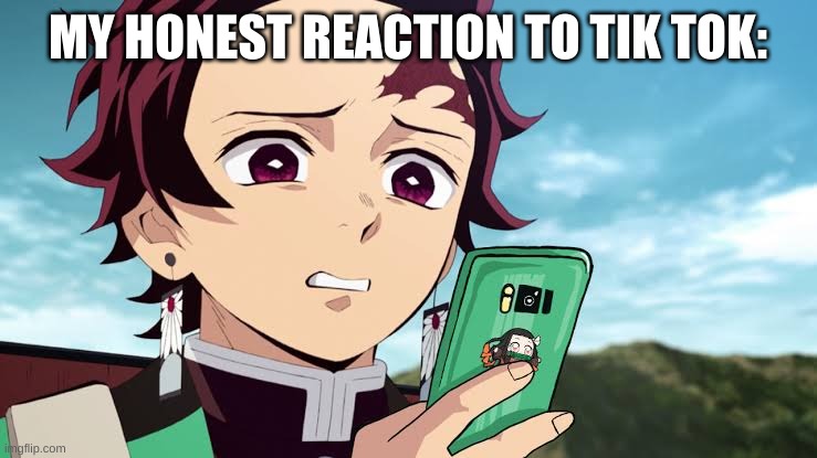 Tanjiro Disgust | MY HONEST REACTION TO TIK TOK: | image tagged in tanjiro disgust | made w/ Imgflip meme maker