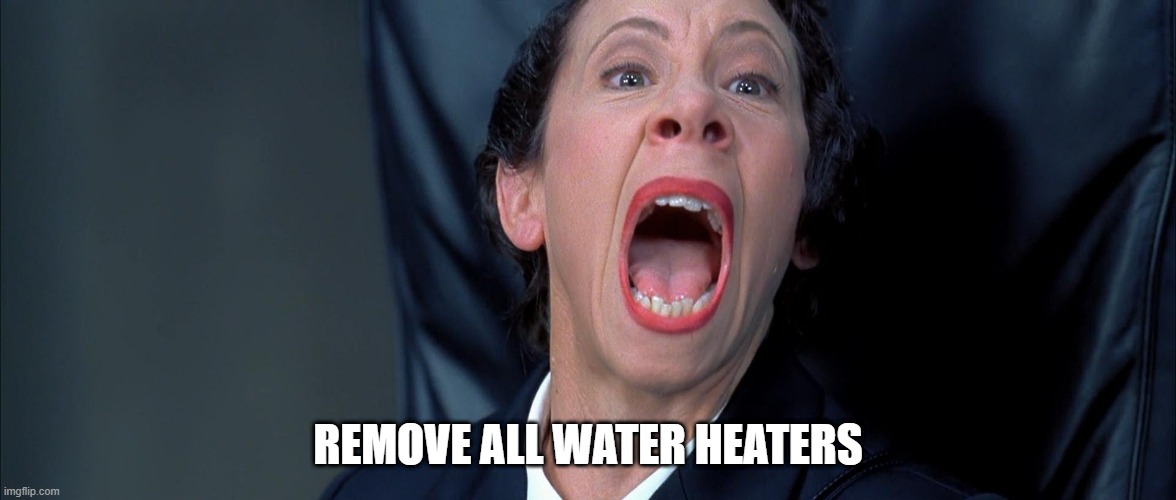 Frau Farbissina | REMOVE ALL WATER HEATERS | image tagged in frau farbissina | made w/ Imgflip meme maker
