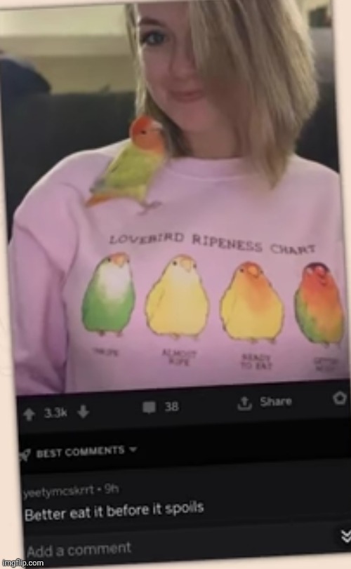 #2,817 | image tagged in comments,cursed,birds,ripe,charts,eat it | made w/ Imgflip meme maker