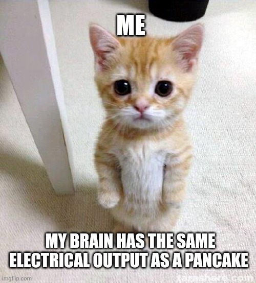 Pancake brain | ME; MY BRAIN HAS THE SAME ELECTRICAL OUTPUT AS A PANCAKE | image tagged in memes,cute cat | made w/ Imgflip meme maker