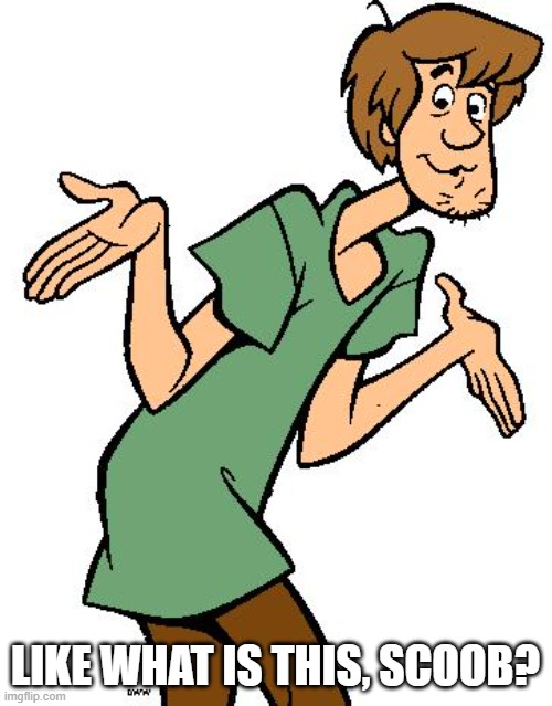 Shaggy from Scooby Doo | LIKE WHAT IS THIS, SCOOB? | image tagged in shaggy from scooby doo | made w/ Imgflip meme maker