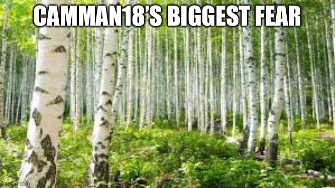 Camman18 | CAMMAN18’S BIGGEST FEAR | image tagged in funny,birch,camman18 | made w/ Imgflip meme maker