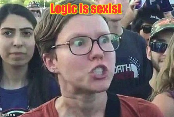 Triggered Liberal | Logic is sexist | image tagged in triggered liberal | made w/ Imgflip meme maker