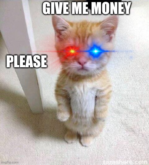 Cute Cat | GIVE ME MONEY; PLEASE | image tagged in memes,cute cat | made w/ Imgflip meme maker