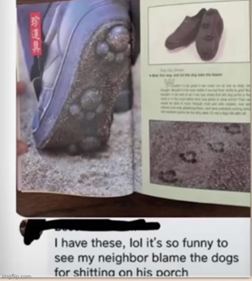 #2,821 | image tagged in funny,comments,cursed,shoes,dogs,poop | made w/ Imgflip meme maker