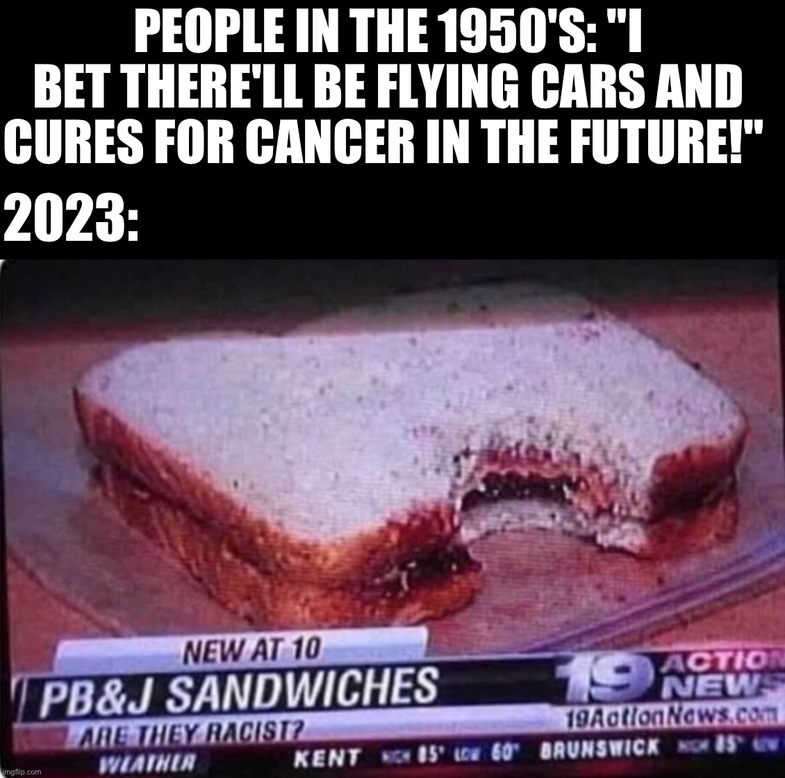 real eye roll moment | PEOPLE IN THE 1950'S: "I BET THERE'LL BE FLYING CARS AND CURES FOR CANCER IN THE FUTURE!"; 2023: | image tagged in meme,conservatives,funny,annoying | made w/ Imgflip meme maker
