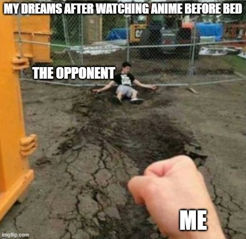 Regardless of watching anime or not, I'm sure everyone has has this dream at least once. | MY DREAMS AFTER WATCHING ANIME BEFORE BED; THE OPPONENT; ME | image tagged in punch | made w/ Imgflip meme maker