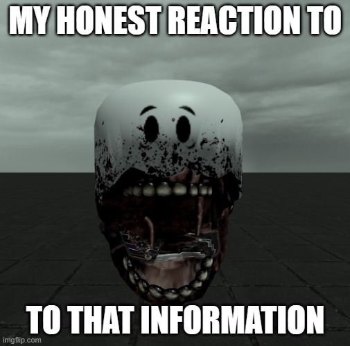 my honest reaction | MY HONEST REACTION TO; TO THAT INFORMATION | image tagged in roblox meme | made w/ Imgflip meme maker