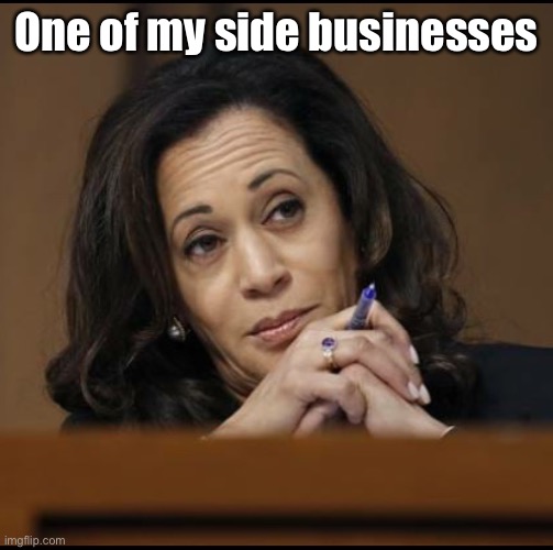 Kamala Harris  | One of my side businesses | image tagged in kamala harris | made w/ Imgflip meme maker