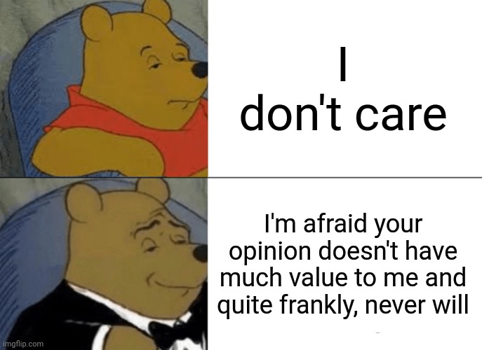 Two types of people | I don't care; I'm afraid your opinion doesn't have much value to me and quite frankly, never will | image tagged in memes,tuxedo winnie the pooh | made w/ Imgflip meme maker