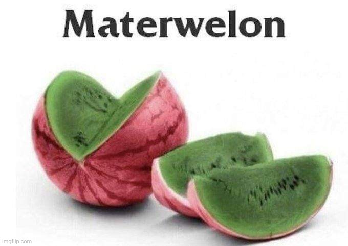 Materwelon | image tagged in materwelon | made w/ Imgflip meme maker