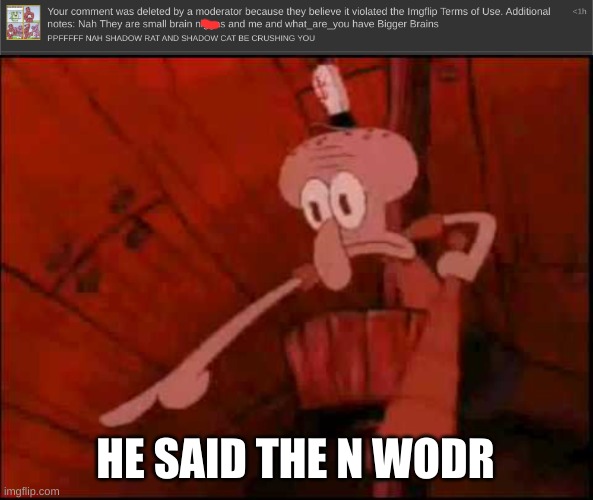 great now what are you is in the n wodr club too? | HE SAID THE N WODR | image tagged in squidward pointing | made w/ Imgflip meme maker