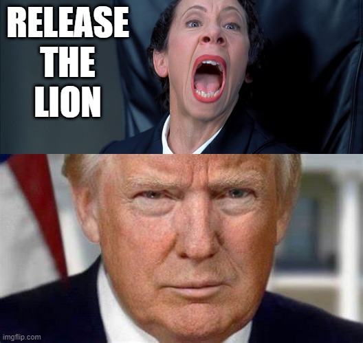 RELEASE
THE
LION | image tagged in frau farbissina | made w/ Imgflip meme maker