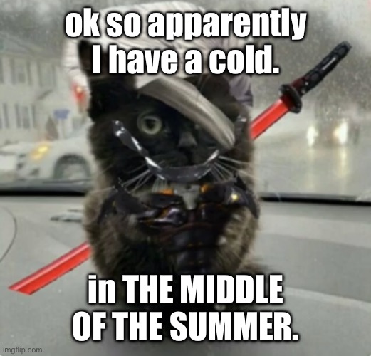 Doktor, Turn Off My Cute Inhibitors! | ok so apparently I have a cold. in THE MIDDLE OF THE SUMMER. | image tagged in doktor turn off my cute inhibitors | made w/ Imgflip meme maker