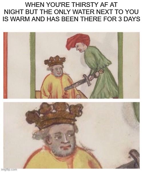 bruh i cant with this | WHEN YOU'RE THIRSTY AF AT NIGHT BUT THE ONLY WATER NEXT TO YOU IS WARM AND HAS BEEN THERE FOR 3 DAYS | image tagged in medieval meh,bruh moment,funny memes,hahaha | made w/ Imgflip meme maker