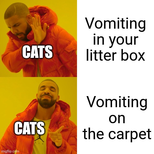 Why don't cats also vomit in their litter box | Vomiting in your litter box; CATS; Vomiting on the carpet; CATS | image tagged in memes,drake hotline bling,cats,vomit,litter box,carpet | made w/ Imgflip meme maker