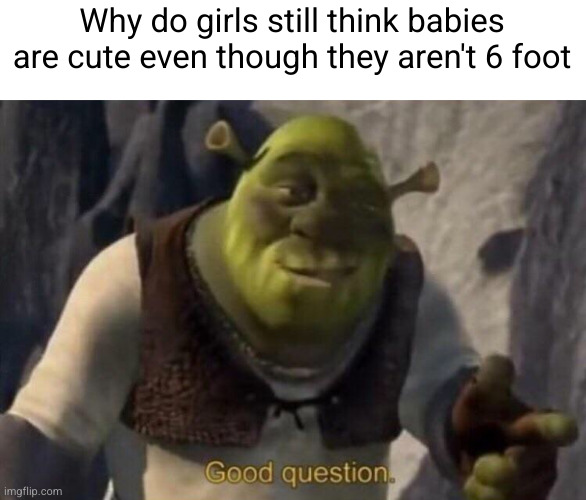 like since when did they not care | Why do girls still think babies are cute even though they aren't 6 foot | image tagged in shrek good question,shrek,funny,baby,height,6 foot | made w/ Imgflip meme maker