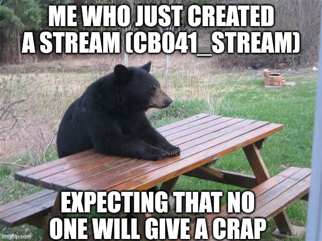 Patient Bear | ME WHO JUST CREATED A STREAM (CB041_STREAM); EXPECTING THAT NO ONE WILL GIVE A CRAP | image tagged in patient bear | made w/ Imgflip meme maker