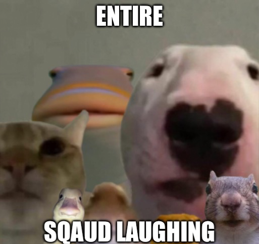 entire squad laughing Blank Meme Template
