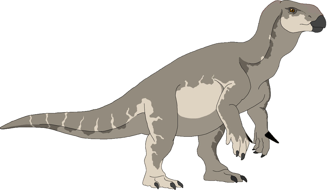Iguanodon (Female) Blank Template - Imgflip