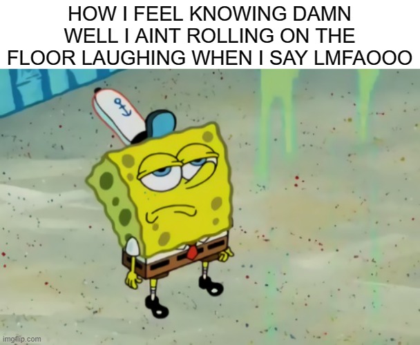 skibbidy dippity | HOW I FEEL KNOWING DAMN WELL I AINT ROLLING ON THE FLOOR LAUGHING WHEN I SAY LMFAOOO | image tagged in spongebob not scared,lmfao | made w/ Imgflip meme maker