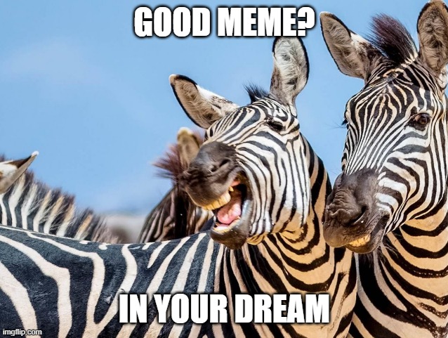 . | GOOD MEME? IN YOUR DREAM | image tagged in zinger zebra | made w/ Imgflip meme maker