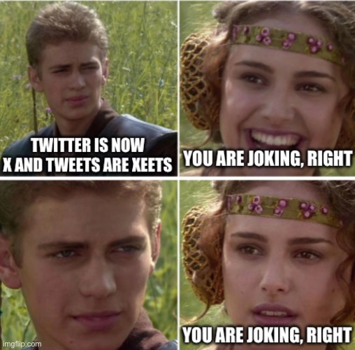 Twitter is now X | image tagged in twitter,funny | made w/ Imgflip meme maker