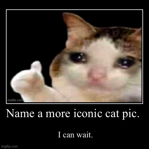 Sad cat… sad cat… whyyy aren’t they including you? | Name a more iconic cat pic. | I can wait. | image tagged in funny,demotivationals,sad cat thumbs up | made w/ Imgflip demotivational maker