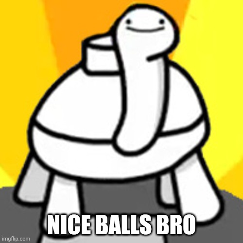 Nice balls bro | NICE BALLS BRO | image tagged in frontfacing mine turte,balls,bro,nice | made w/ Imgflip meme maker