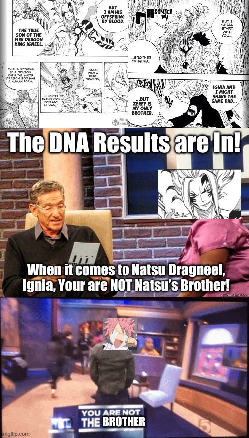 Maury DNA Test, Fairy Tail edition! (Natsu and Ignia) | The DNA Results are In! When it comes to Natsu Dragneel, Ignia, Your are NOT Natsu’s Brother! BROTHER | image tagged in you are not the father backflip,memes,maury lie detector,fairy tail,fairy tail 100 years quest,natsu dragneel | made w/ Imgflip meme maker