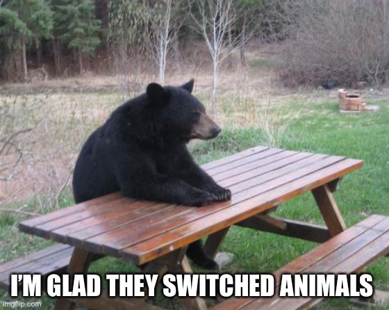 Bad Luck Bear Meme | I’M GLAD THEY SWITCHED ANIMALS | image tagged in memes,bad luck bear | made w/ Imgflip meme maker