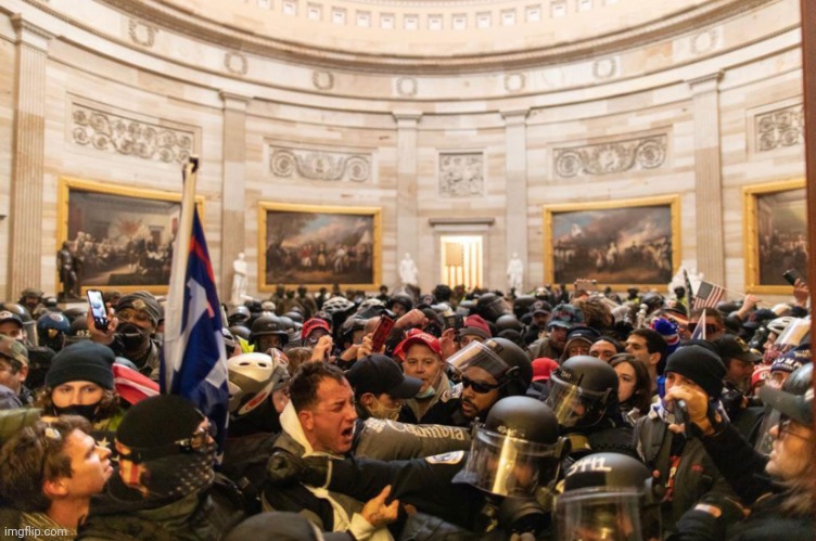 Capitol Hill riot | image tagged in capitol hill riot | made w/ Imgflip meme maker