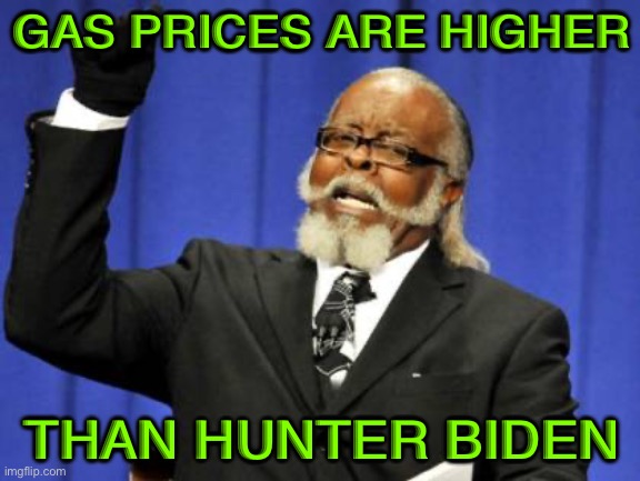 Gas Prices, Higher Than Hunter Biden. | GAS PRICES ARE HIGHER; THAN HUNTER BIDEN | image tagged in memes,too damn high | made w/ Imgflip meme maker