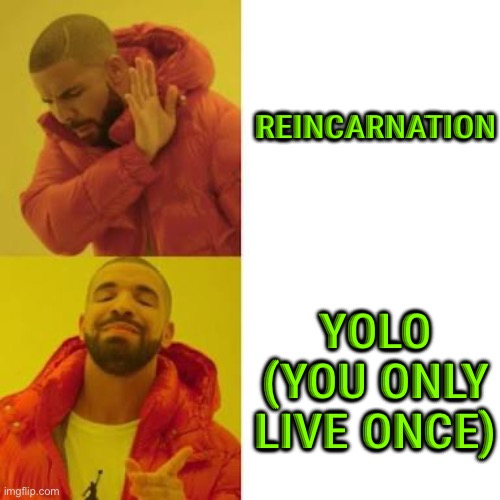 YOLO (You Only Live Once) | REINCARNATION; YOLO (YOU ONLY LIVE ONCE) | image tagged in drake no/yes | made w/ Imgflip meme maker