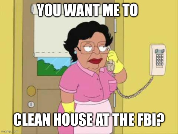 Consuela Meme | YOU WANT ME TO CLEAN HOUSE AT THE FBI? | image tagged in memes,consuela | made w/ Imgflip meme maker