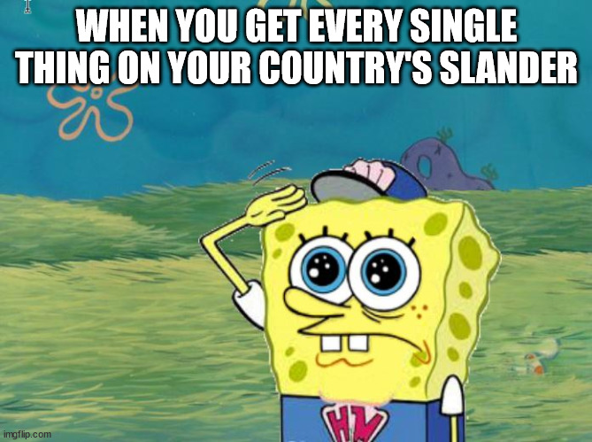Spongebob salute | WHEN YOU GET EVERY SINGLE THING ON YOUR COUNTRY'S SLANDER | image tagged in spongebob salute,memes,funny | made w/ Imgflip meme maker