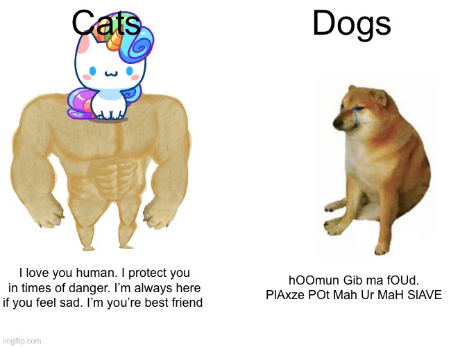 STOP SAYING DOGS ARE BETTER THAN CATS | Cats; Dogs; I love you human. I protect you in times of danger. I’m always here if you feel sad. I’m you’re best friend; hOOmun Gib ma fOUd. PlAxze POt Mah Ur MaH SlAVE | image tagged in memes,cute cat | made w/ Imgflip meme maker