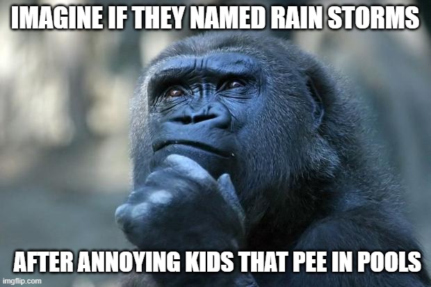 "Jeremy R. put a damper on everyone's fun over the weekend..." | IMAGINE IF THEY NAMED RAIN STORMS; AFTER ANNOYING KIDS THAT PEE IN POOLS | image tagged in deep thoughts | made w/ Imgflip meme maker
