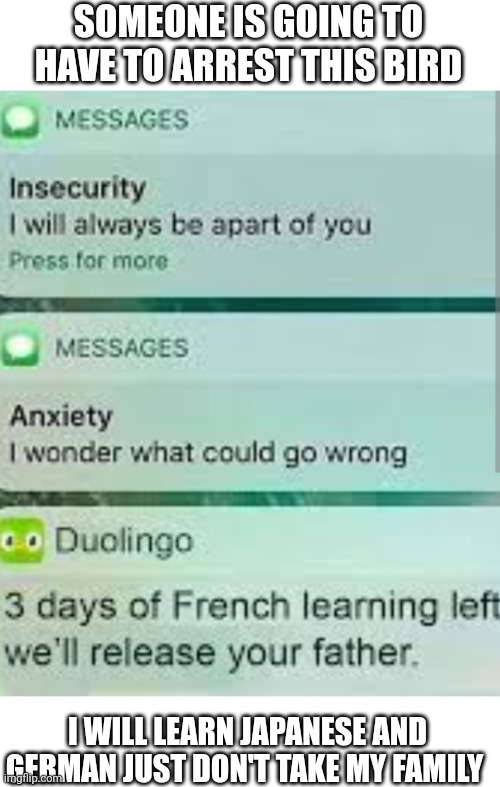 SOMEONE IS GOING TO HAVE TO ARREST THIS BIRD; I WILL LEARN JAPANESE AND GERMAN JUST DON'T TAKE MY FAMILY | image tagged in memes,duolingo bird,911,fbi open up | made w/ Imgflip meme maker