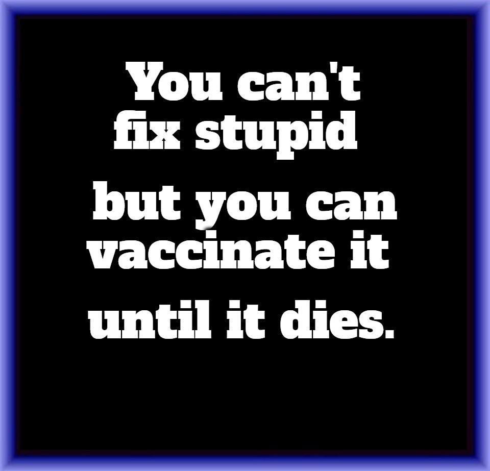 You can't fix stupid, but you can vaccinate it until it dies. | image tagged in covidiots,special kind of stupid,stupid people,human stupidity,never go full retard,stupid sheep | made w/ Imgflip meme maker