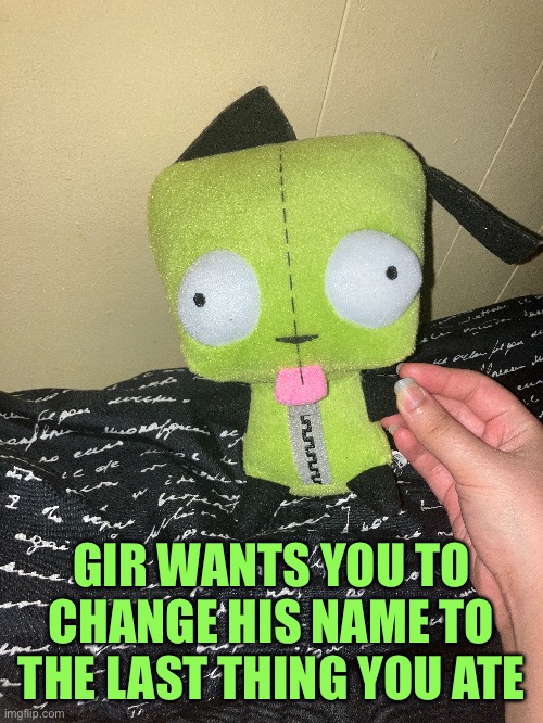 taco for me. funny cuz GIR’s obsessed with tacos | GIR WANTS YOU TO CHANGE HIS NAME TO THE LAST THING YOU ATE | image tagged in fun,cute,invaderzim,nickelodeon | made w/ Imgflip meme maker
