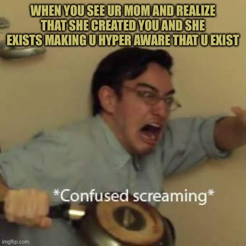 filthy frank confused scream | WHEN YOU SEE UR MOM AND REALIZE THAT SHE CREATED YOU AND SHE EXISTS MAKING U HYPER AWARE THAT U EXIST | image tagged in filthy frank confused scream,life,awareness | made w/ Imgflip meme maker