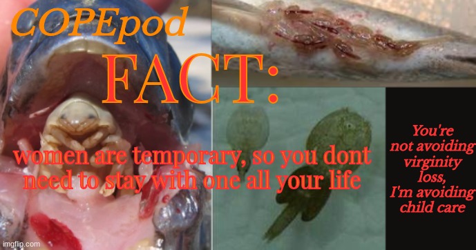 COPEpod's announcement template | FACT:; women are temporary, so you dont need to stay with one all your life | image tagged in copepod's announcement template | made w/ Imgflip meme maker