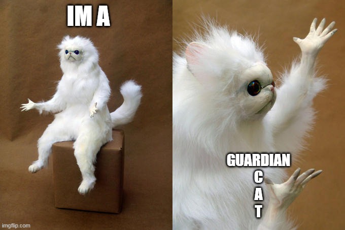 A guardian cat | IM A; GUARDIAN
C
A
T | image tagged in memes,persian cat room guardian | made w/ Imgflip meme maker