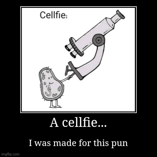 Cellfie | A cellfie... | I was made for this pun | image tagged in funny,demotivationals | made w/ Imgflip demotivational maker